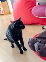 Retour à la maison - 24 janvier 2015